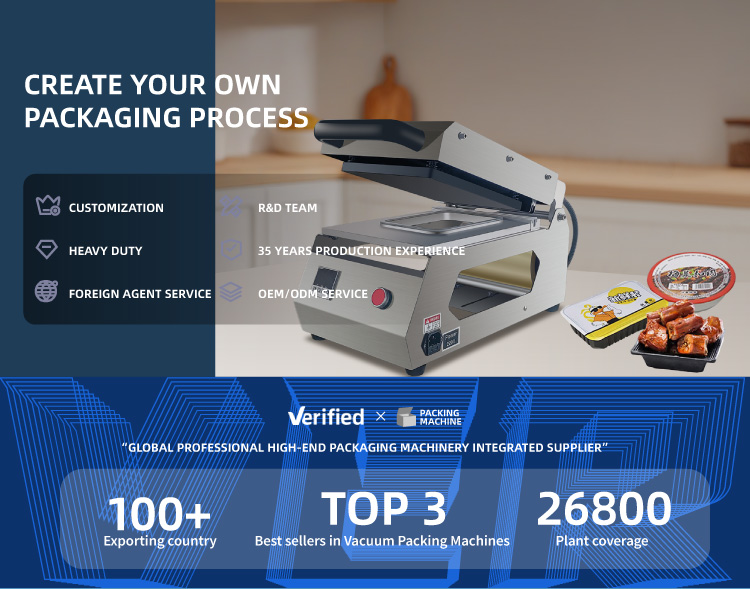 Vacuum Sealing Machine Prototype Design Features 热封机技术创新