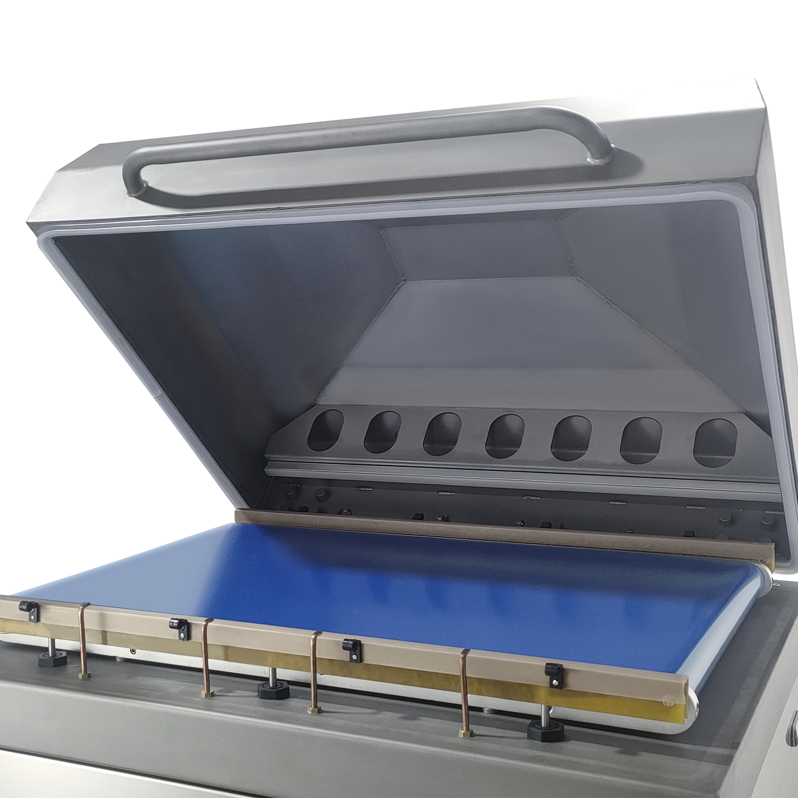 DZQ-850S 全自动室式带牛肉真空包装机用于肉类食品自动真空