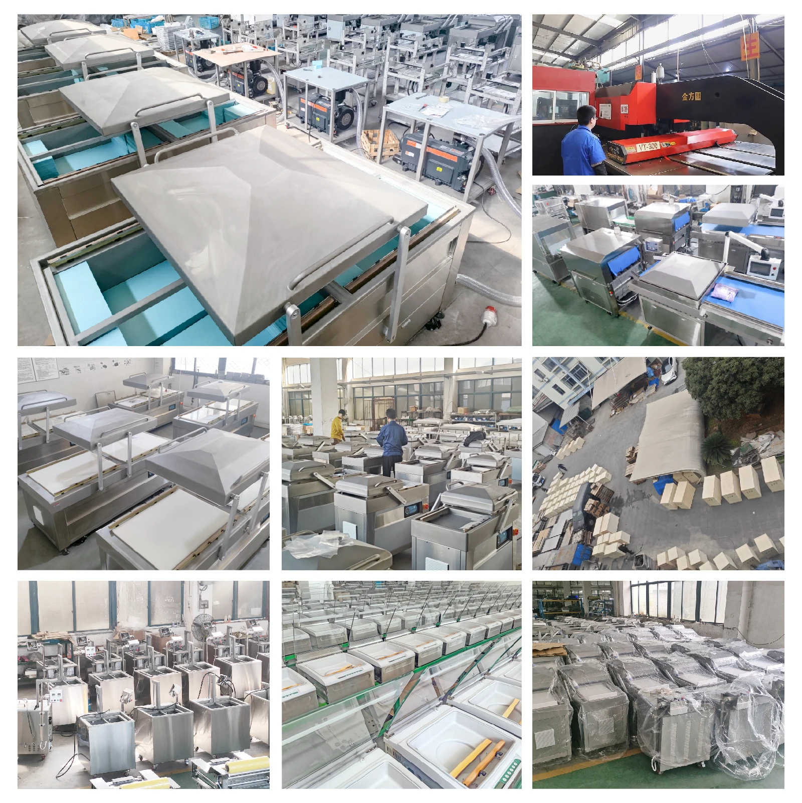 如何选择可靠的真空包装机供应商？ 7 个关键标准